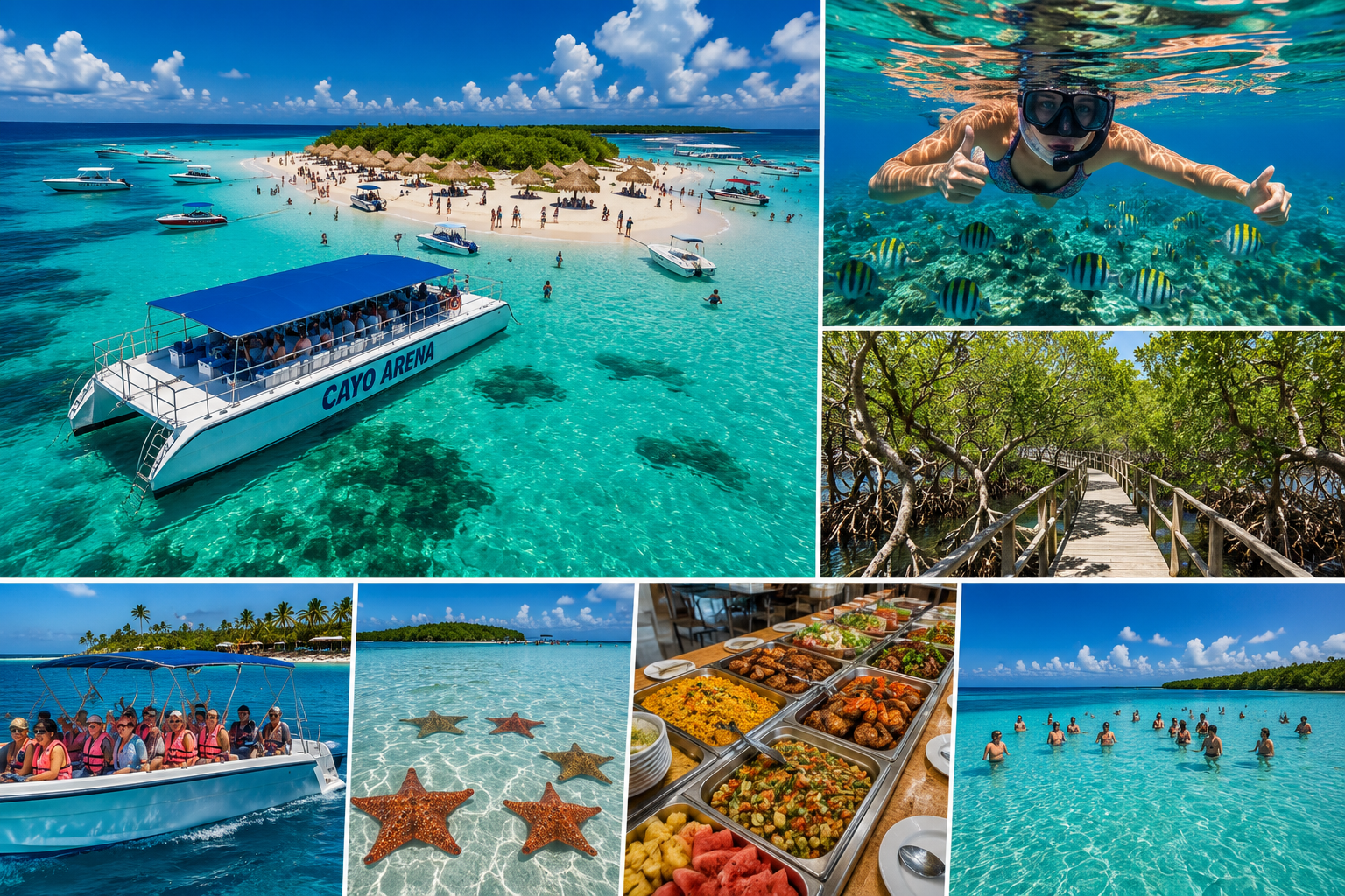 Cayo Arena