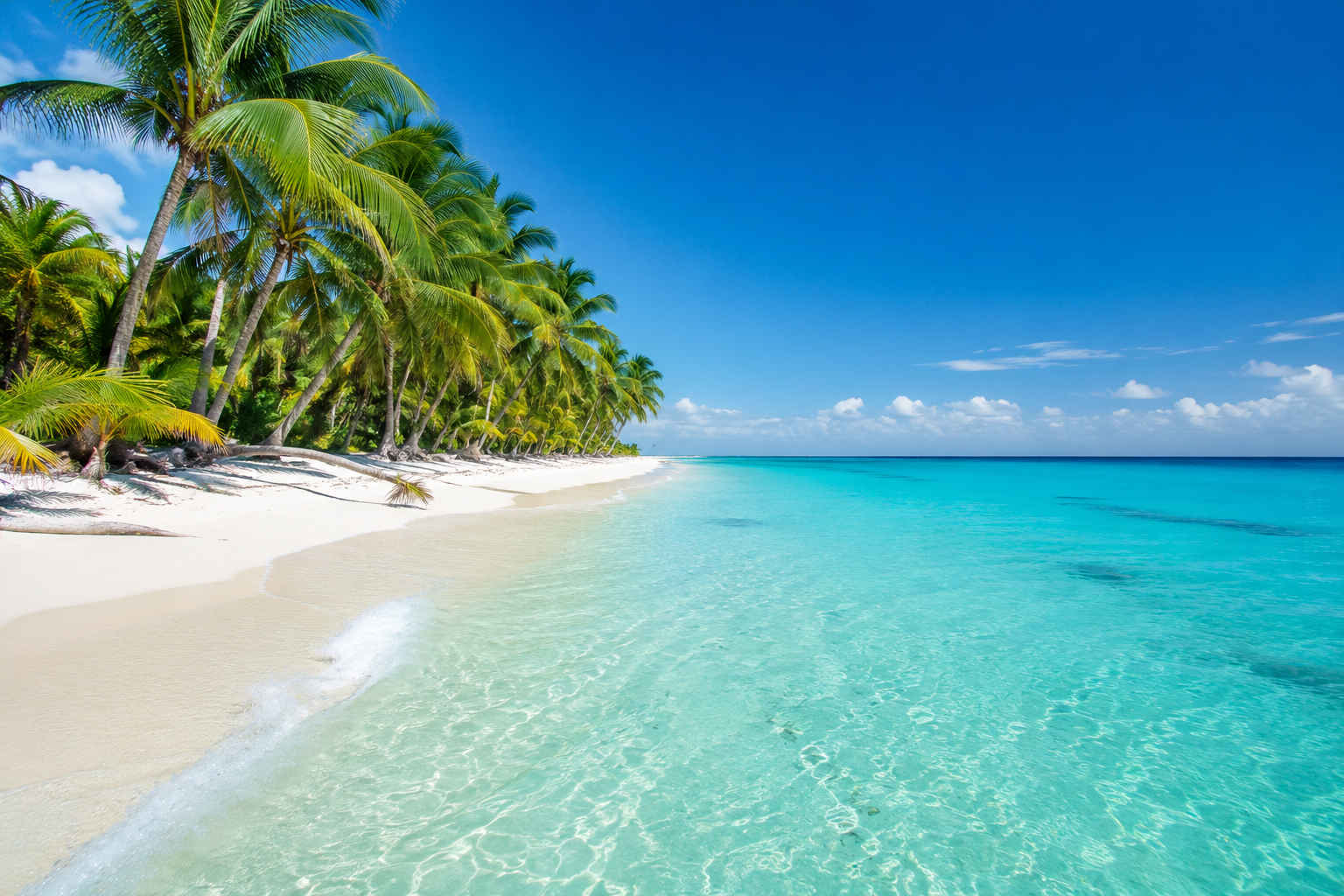 Isla Saona