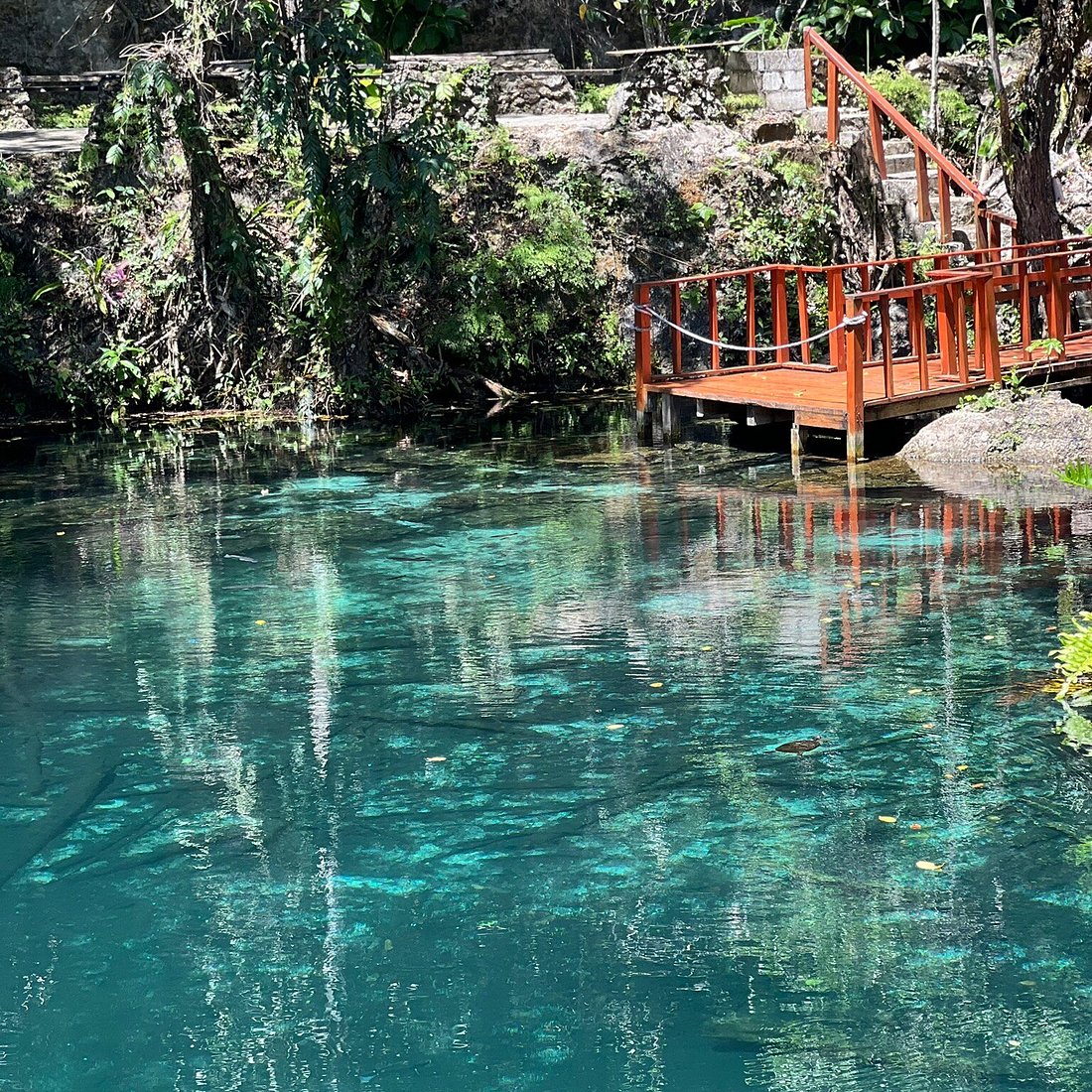 Laguna Dudú
